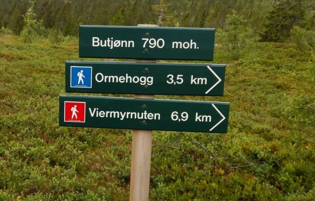 20200721, Blefjell dag to (2).JPG