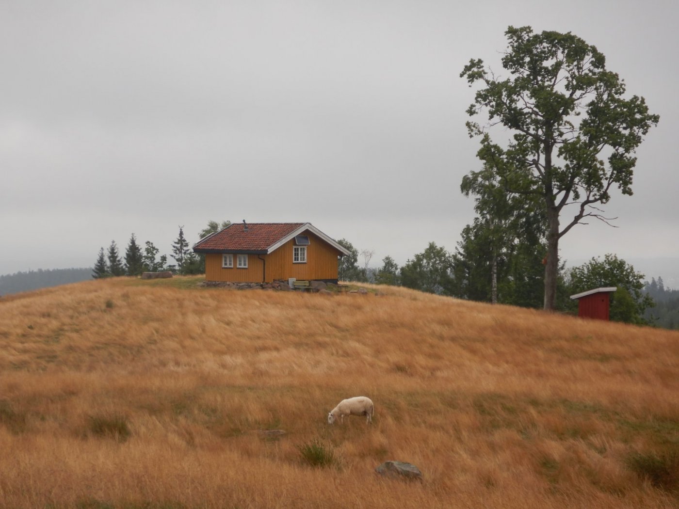 20200718, Hurum-tur (50).JPG