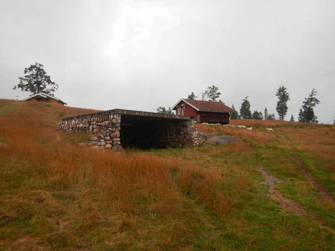 20200718, Hurum-tur (39).JPG