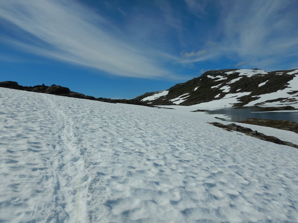 20200723, Vidda dag en (50).jpg