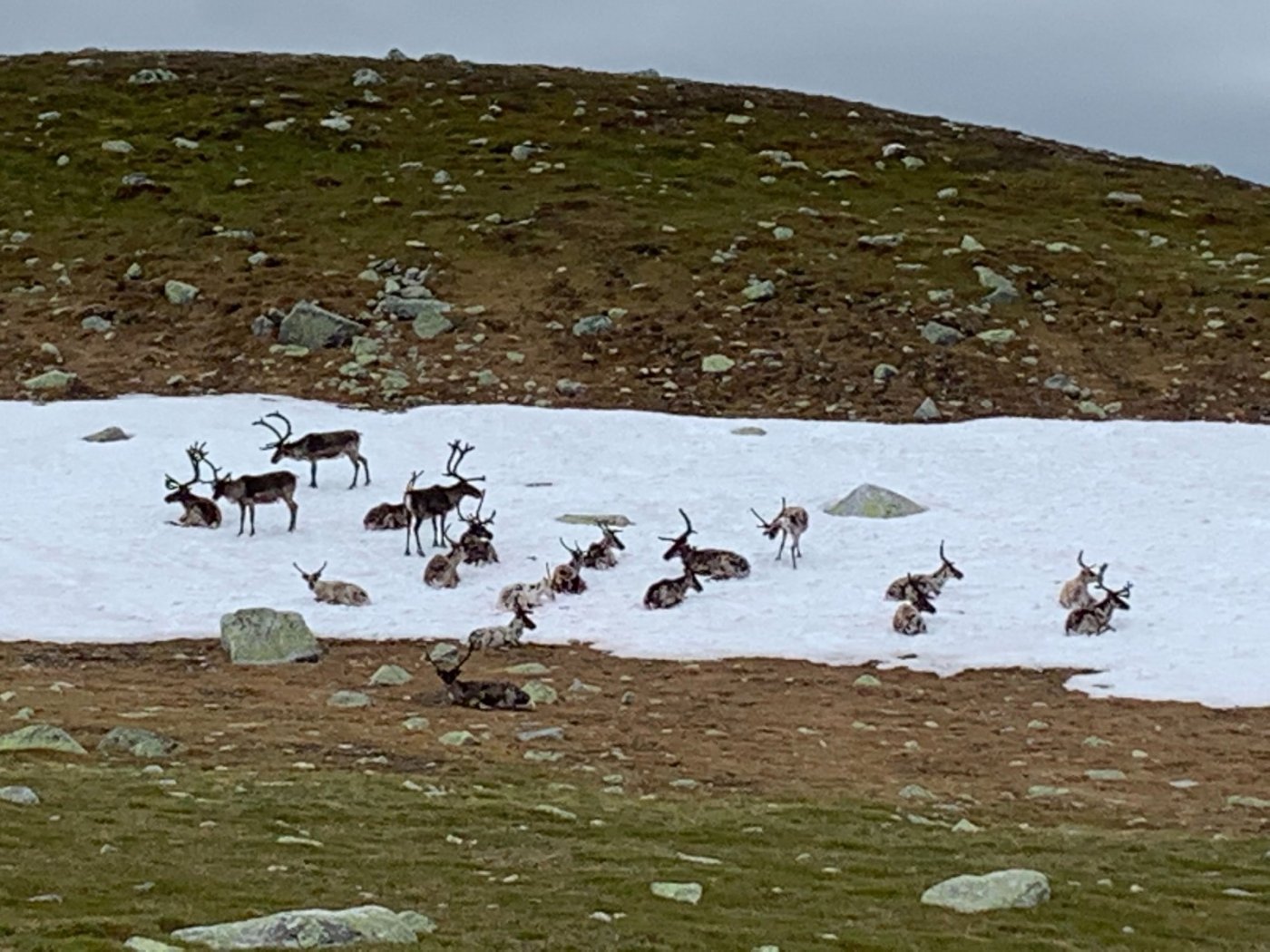 Image from iOS (3).jpg