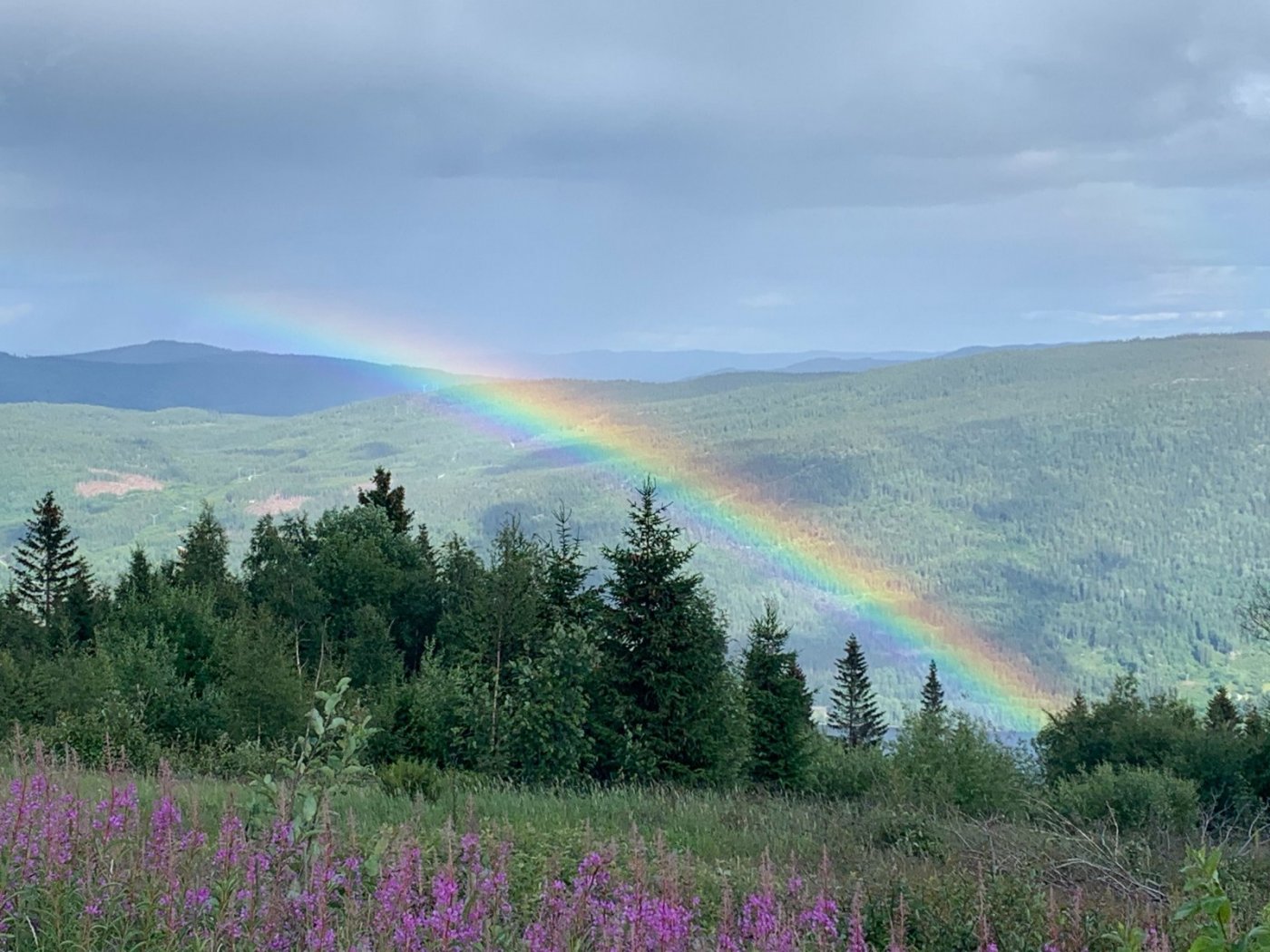 Image from iOS (4).jpg