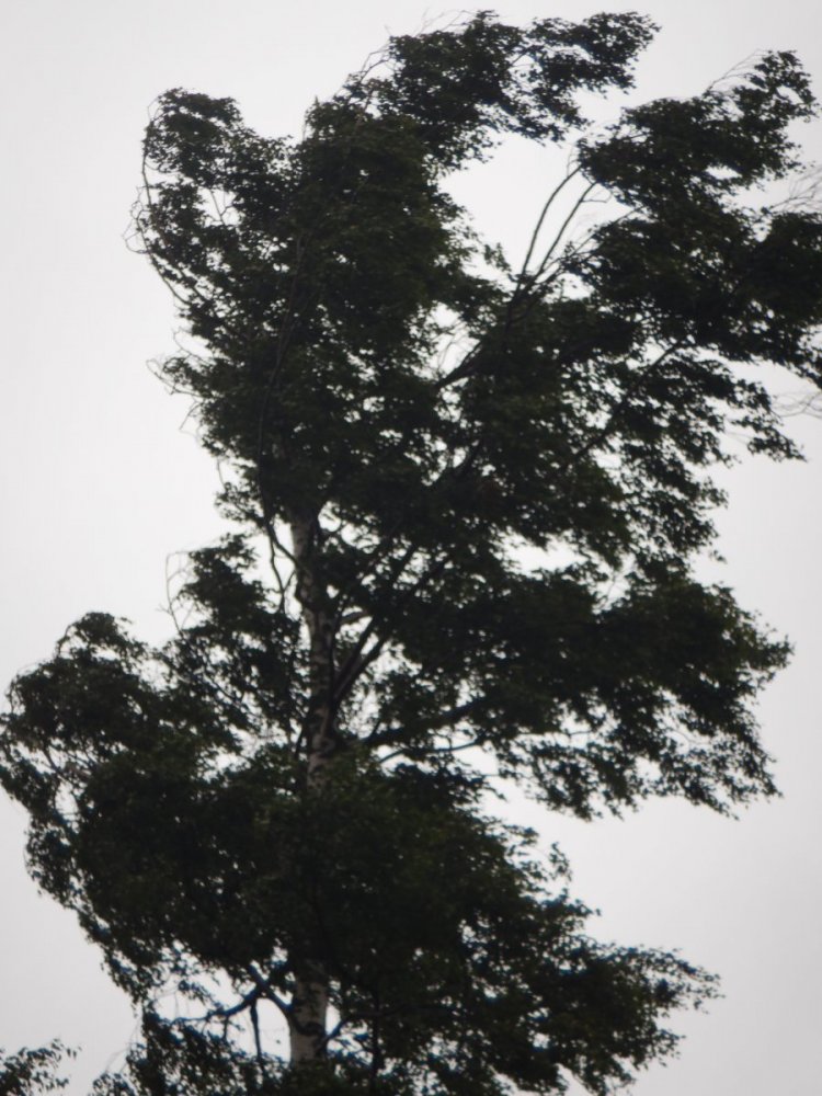 20200718, Hurum-tur (54).JPG