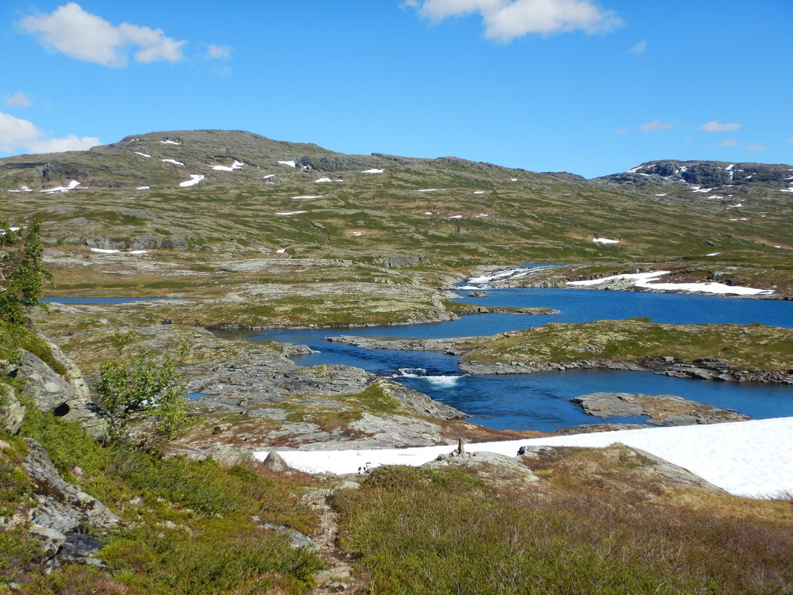 20200724, Vidda dag to (31).jpg