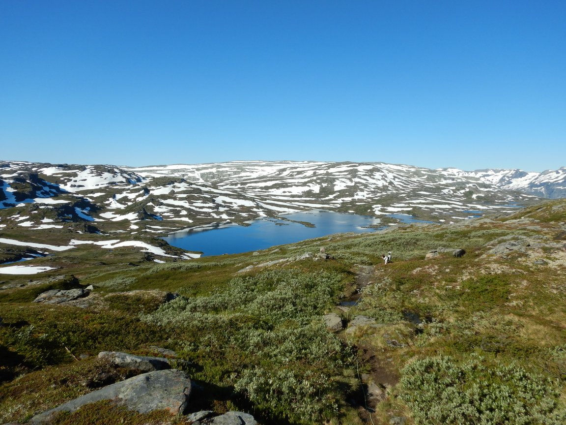 20200724, Vidda dag to (2).jpg