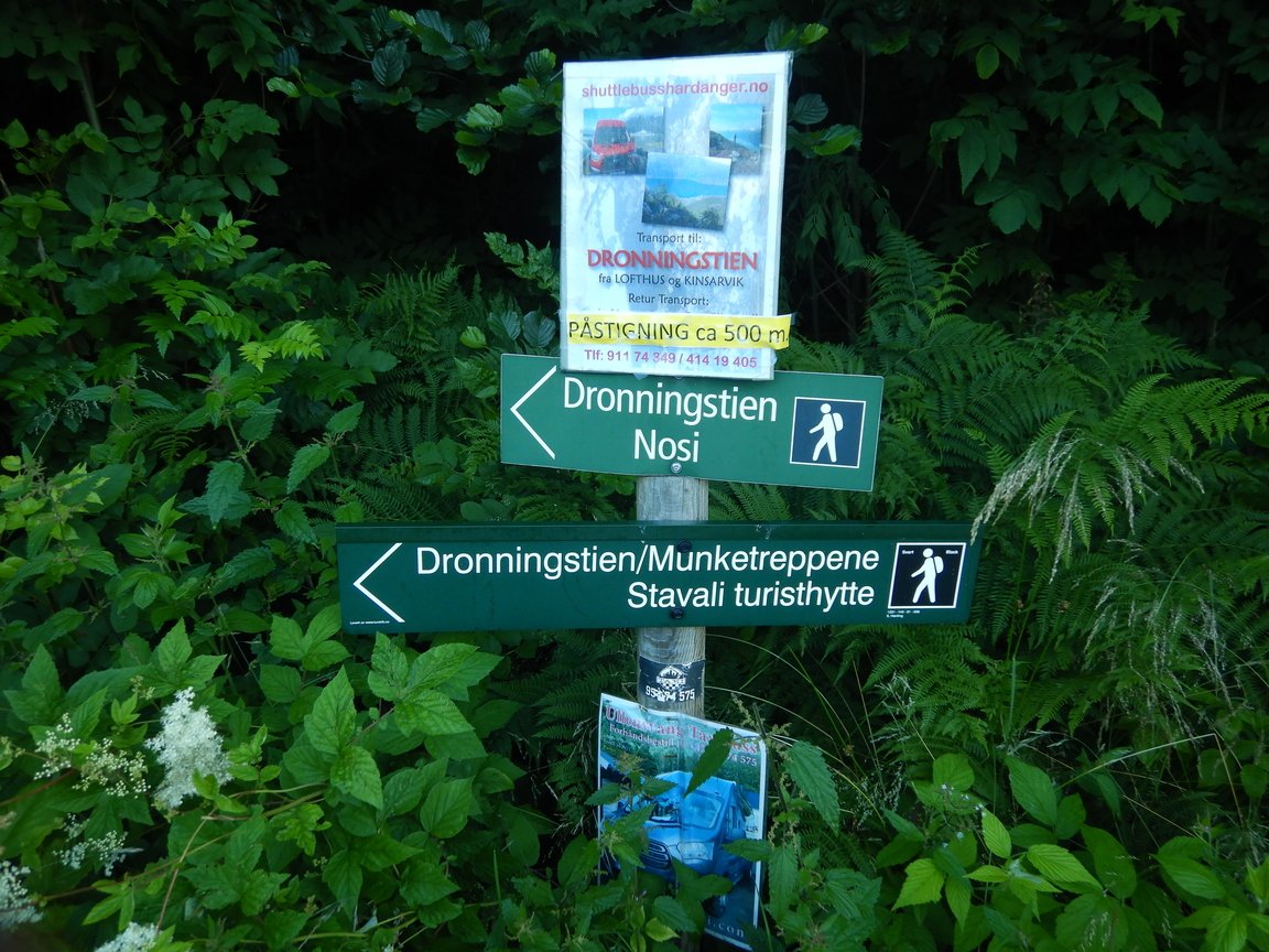 20200723, Vidda dag en (1).jpg