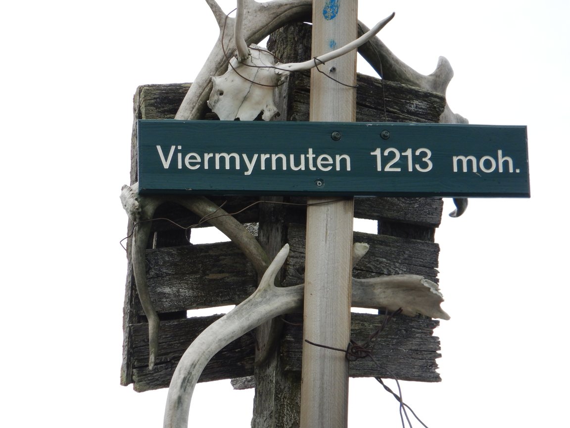 20200721, Blefjell dag to (50).jpg