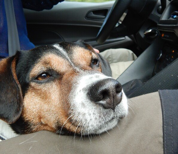 20200721, Blefjell dag to (74).jpg