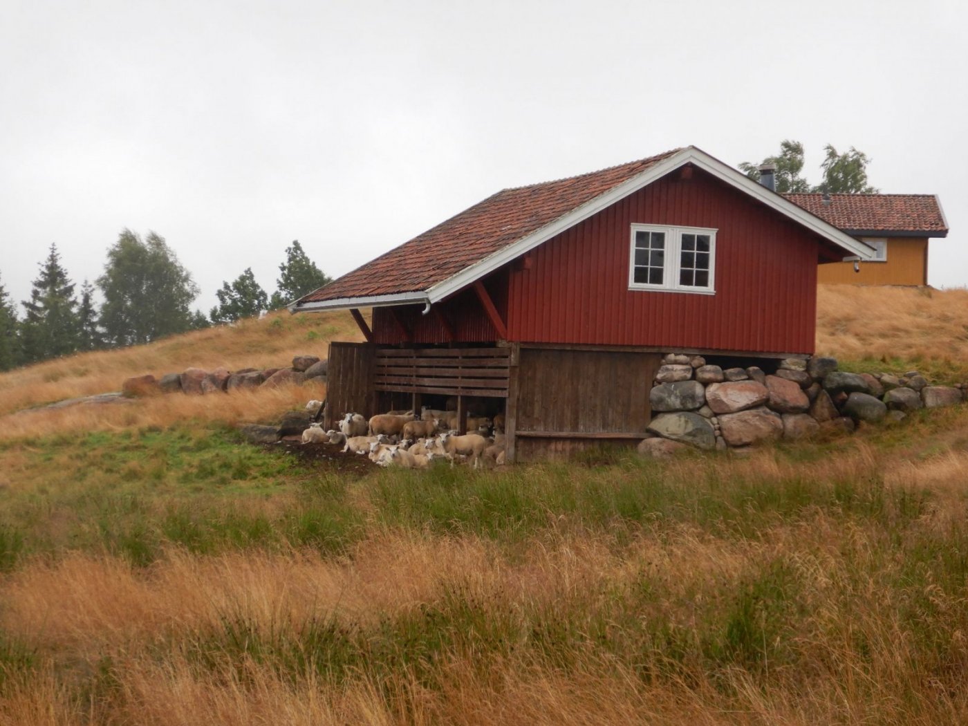 20200718, Hurum-tur (27).JPG