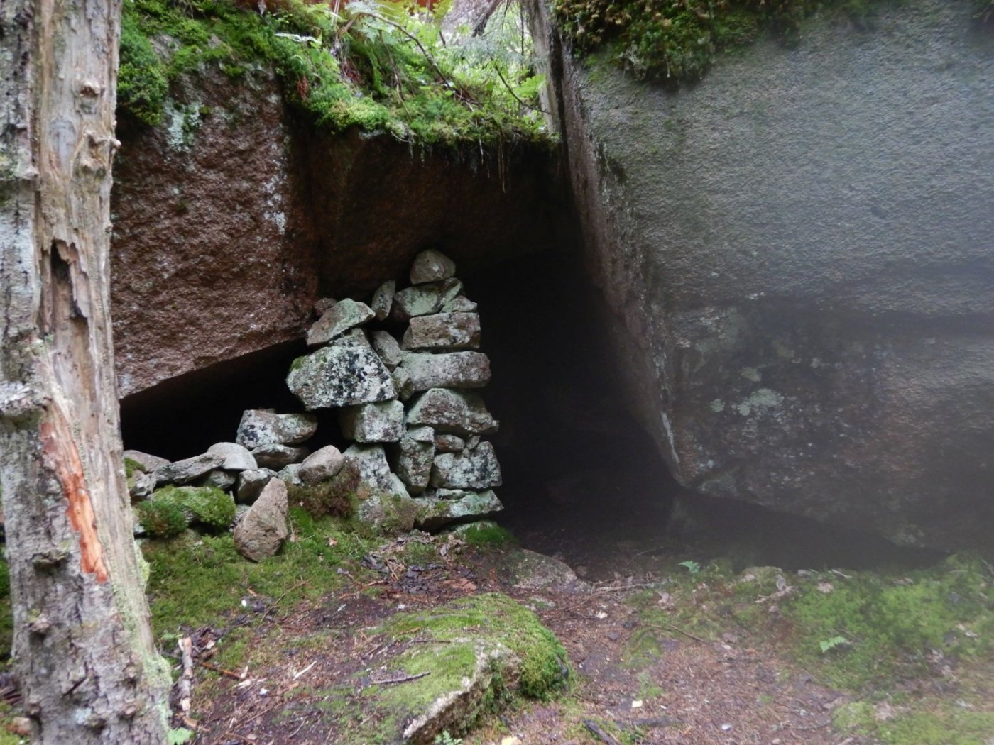 20200718, Hurum-tur (15).JPG