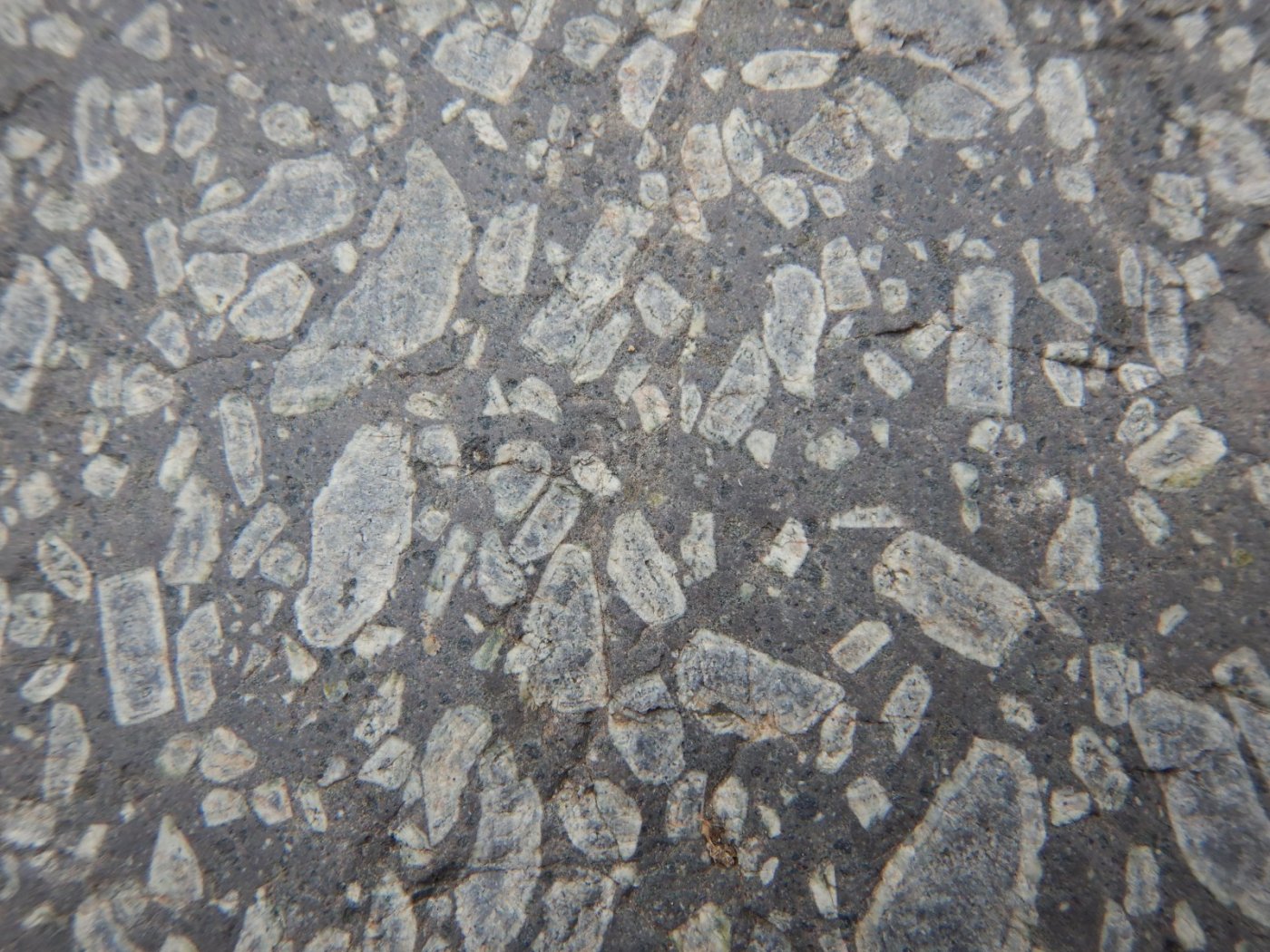 20200718, Hurum-tur (80).JPG