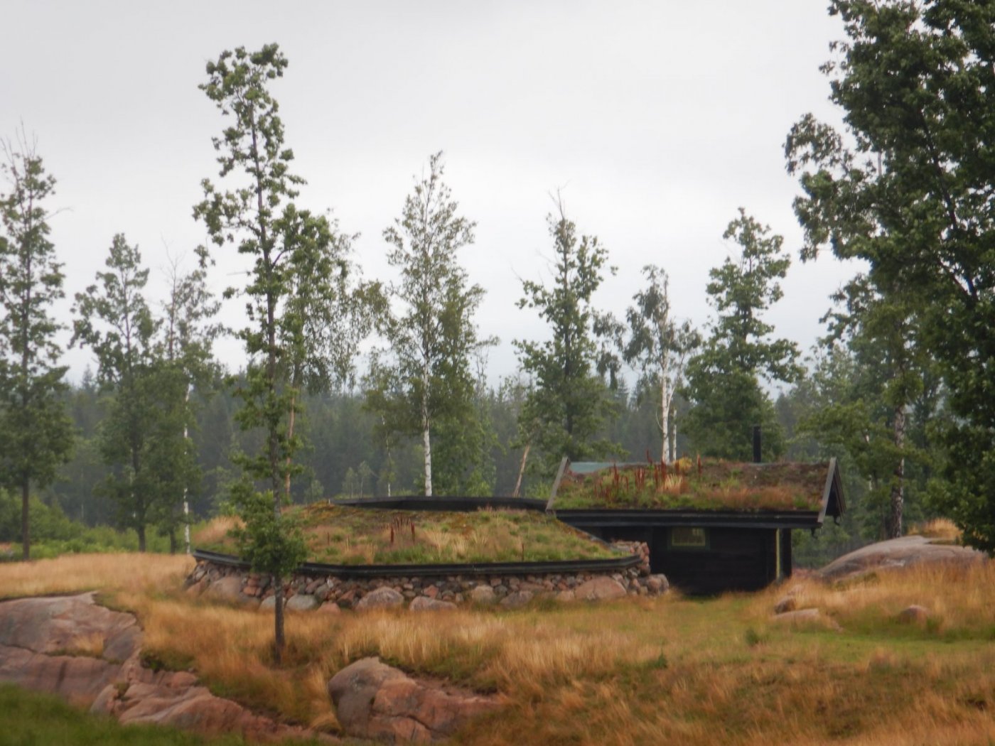 20200718, Hurum-tur (32).JPG