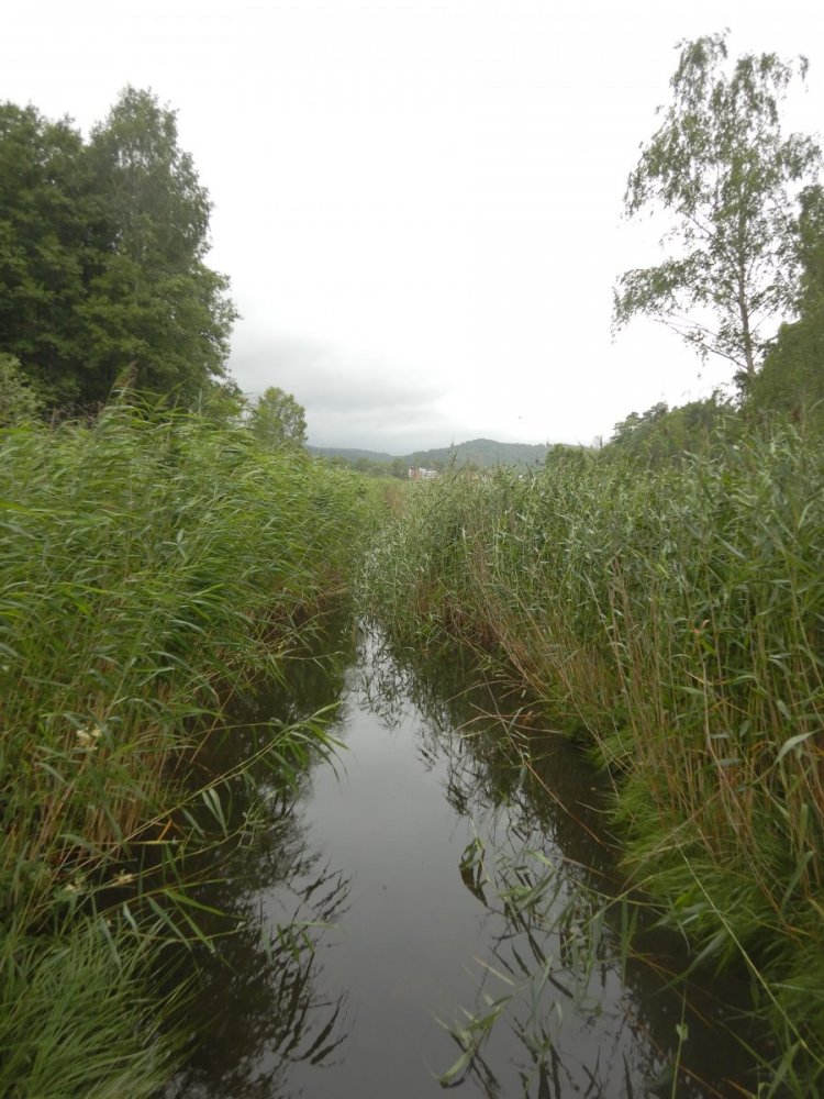 20200718, Hurum-tur (90).JPG