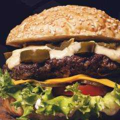 Impressionen Burger Biene