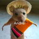 Andreis