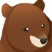 Reizender Grizzly
