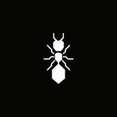 AnT