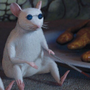 Average Perła Connoisseur