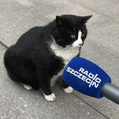 KOT GACEK - Król Szczecina