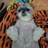 𝖔𝖓𝟑𝖝𝖞𝖞ツ