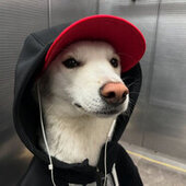 Ҝ卂爪卩ㄖ乂ㄖ