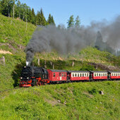 Sebek96