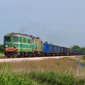 Sebek96