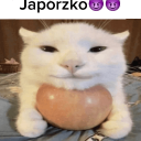 MK_Szczecinie200