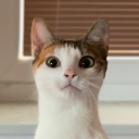 TSuKi