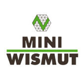 Mini Wismut