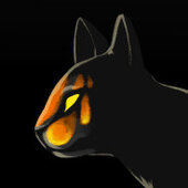 Nyx