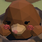 76561199576368956