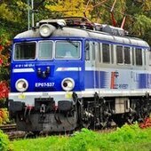 Kocuras5
