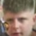 rysio
