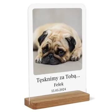 Pamiątka po psie statuetka ze zdjęciem na szkle A4