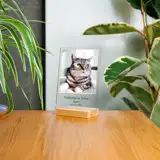 Statuetka ze zdjęciem pamiątka po psie 15x21 cm