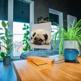 Pamiątka po psie statuetka ze zdjęciem na szkle A4