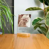 Podziękowanie dla Matki Chrzestnej statuetka zdjęcie dziecka na szkle z dedykacją 15x21 cm