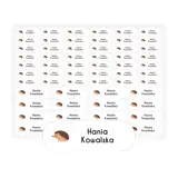 etykiety-do-naprasowania-z-imieniem-na-odziez-ubrania-arkusz-58-sztuk-jez