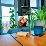 Ramka Spotify z Twoim zdjęciem na szkle akrylowym szkiełko muzyczne Twoja piosenka 15x21 cm