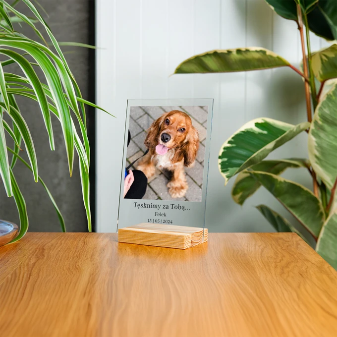 Statuetka ze zdjęciem pamiątka po psie 15x21 cm