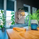 Pamiątka po kocie statuetka ze zdjęciem na szkle A4