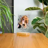Statuetka ze zdjęciem pamiątka po psie 15x21 cm