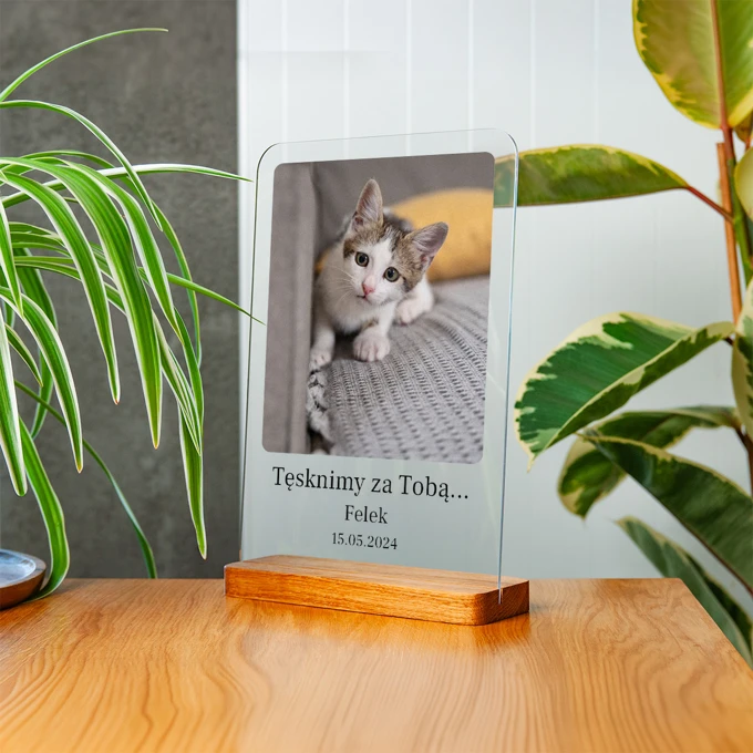 Pamiątka po kocie statuetka ze zdjęciem na szkle A4