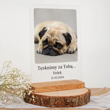 Pamiątka po psie statuetka ze zdjęciem na szkle A4