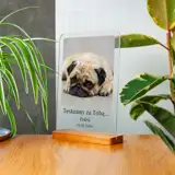 Pamiątka po psie statuetka ze zdjęciem na szkle A4