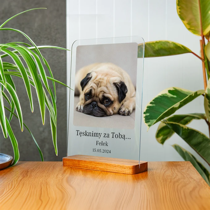 Pamiątka po psie statuetka ze zdjęciem na szkle A4