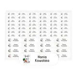 Imienniki dla dzieci na odzież naprasowanki imienne arkusz 58 sztuk królik