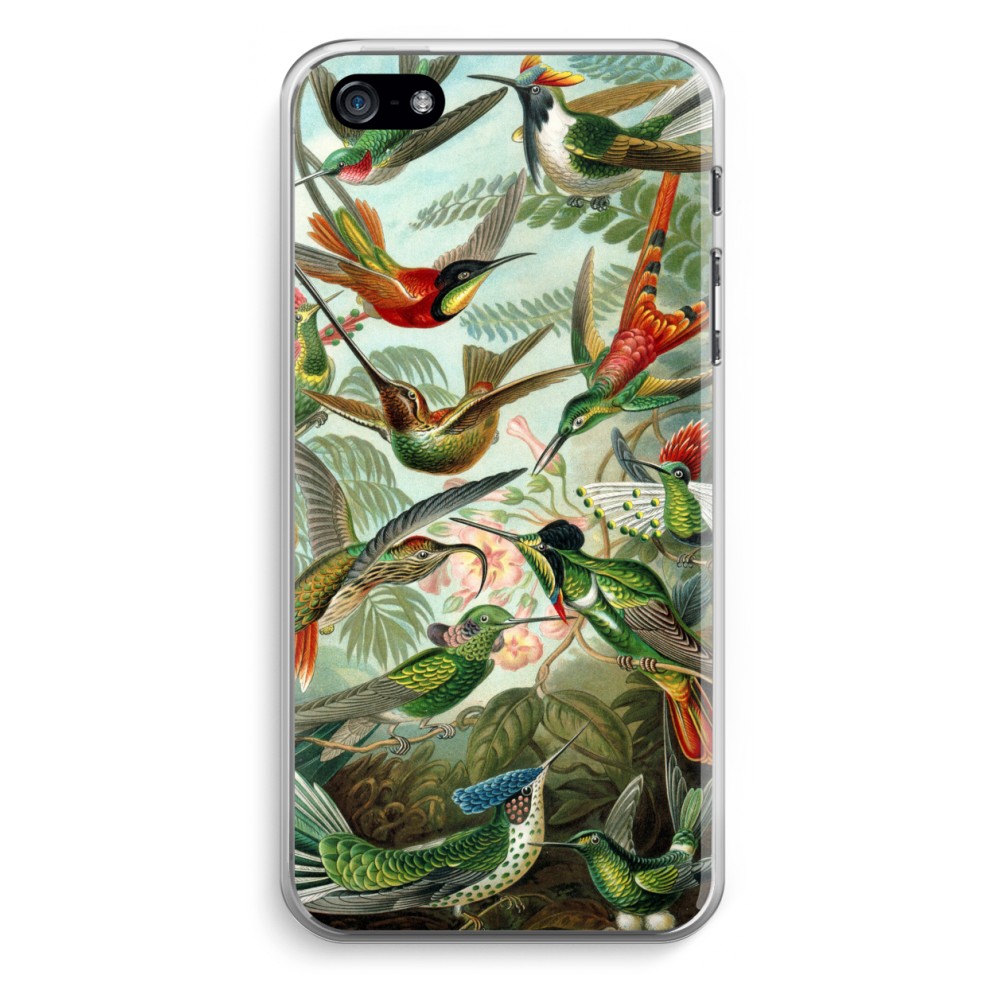 Apple Iphone 5 5S Se Transparant Hoesje Soft Haeckel Trochilidae apple kopen in de aanbieding