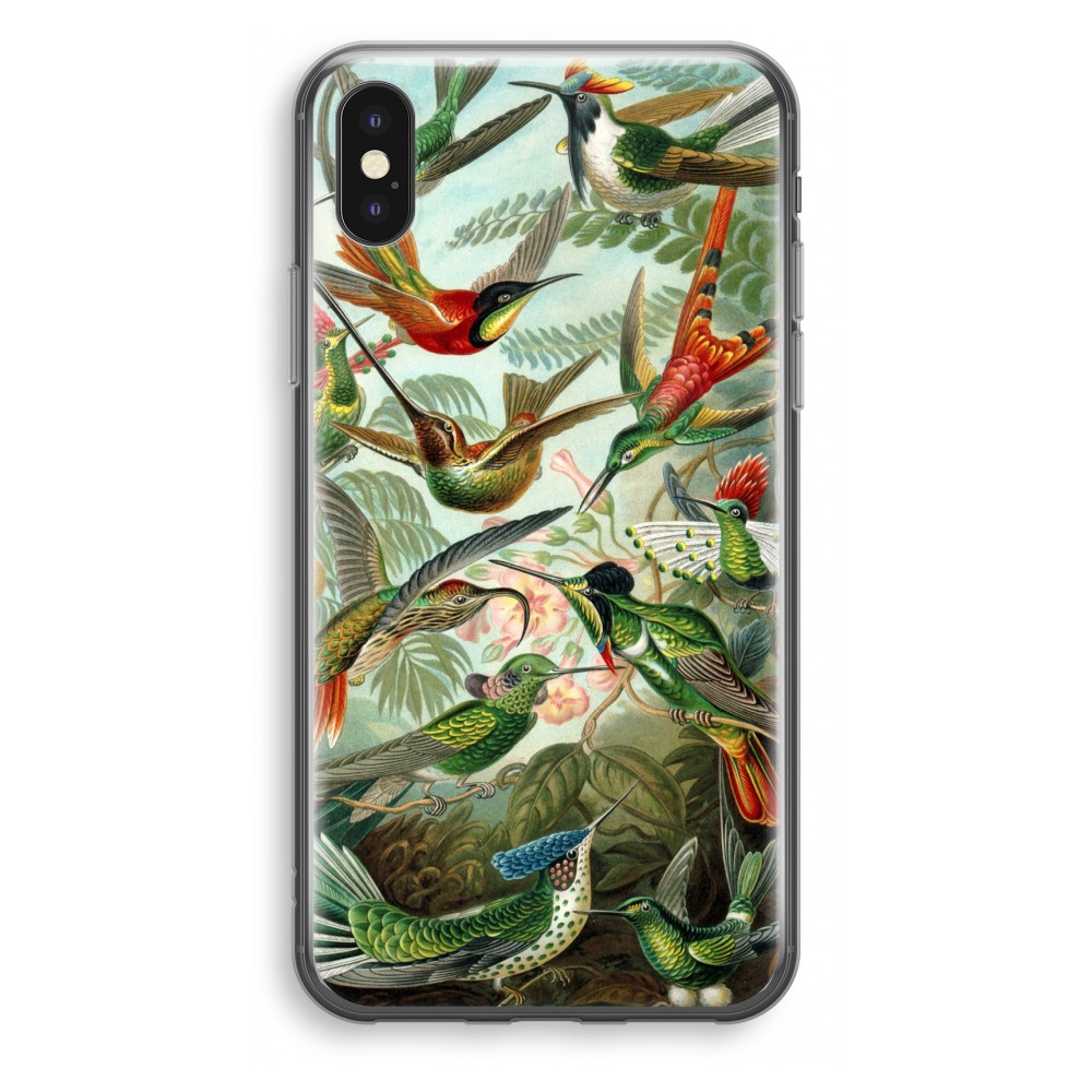 Apple Iphone X Transparant Hoesje Soft Haeckel Trochilidae apple kopen in de aanbieding
